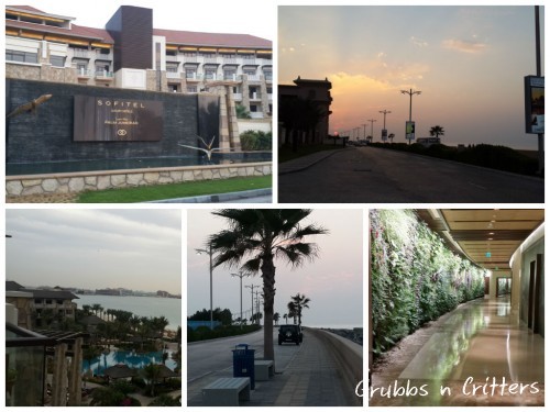 Fotor021005549