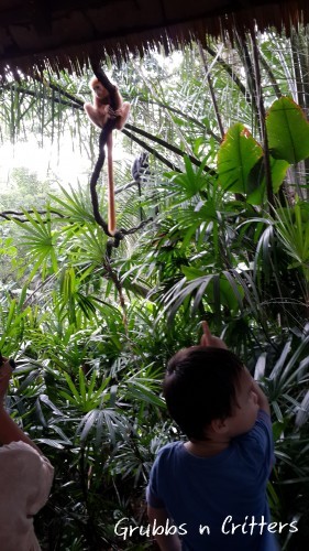 20140731_102808