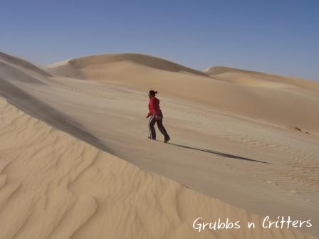 egypt desert